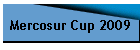 Mercosur Cup 2009