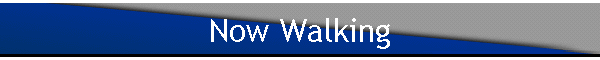 Now Walking