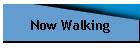 Now Walking