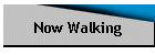 Now Walking