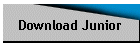 Download Junior